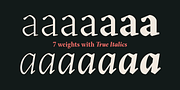 Blizka, a Serif Font by YXType (Thumbnail 5 of 13)