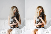 10 Curious Cat Lightroom Presets, a Preset Add-On by LucaTheme (Thumbnail 7 of 9)