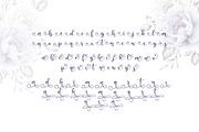 Sunday Morning Script Font, a Script Font by Monoco Type Foundry (Thumbnail 4 of 11)