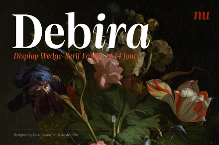 Debira — 14 Fonts, a Serif Font by Nasir Udin