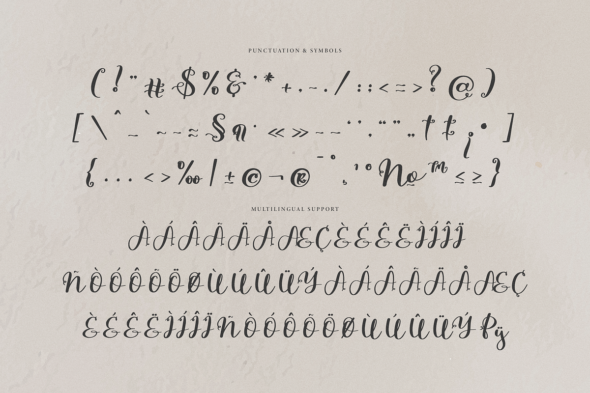 Siollars | Handwritten Script Font, a Script Font by Denustudios (Photo 12 of 12)