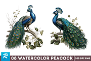 Watercolor Peacock Sublimation, an Object Graphic by Regulrcrative (Thumbnail 3 of 7)