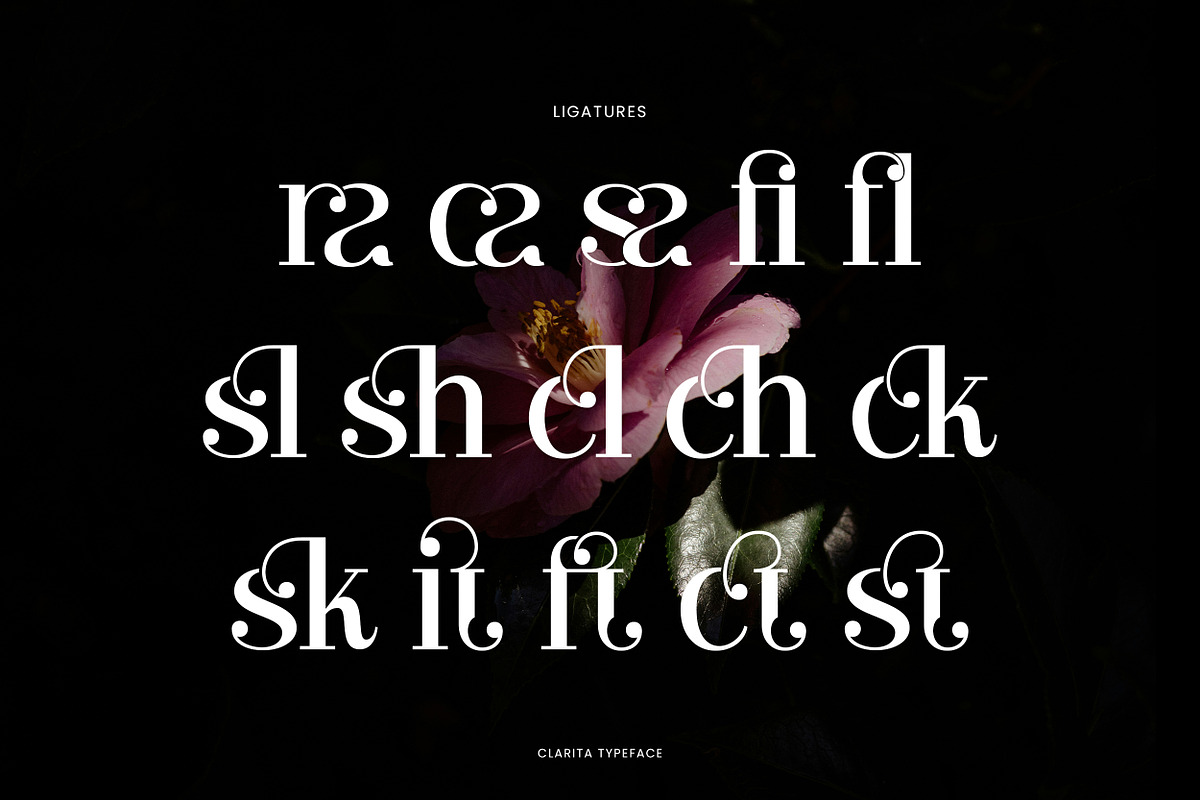 Clarita | Modern Unique Serif, a Serif Font by Mahesans Co (Photo 7 of 10)