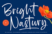 Bright Nastury Texture Brush Font, a Script Font by stylishtype.co (Thumbnail 1 of 20)