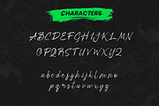 Brestille - Brush Script Font, a Handwritten Font by Favo Write (Thumbnail 8 of 13)