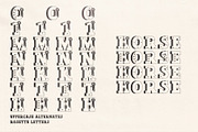 Show Pony Hand Drawn Western Font, a Slab Serif Font by Madeline ODonoghue Design (Thumbnail 10 of 10)