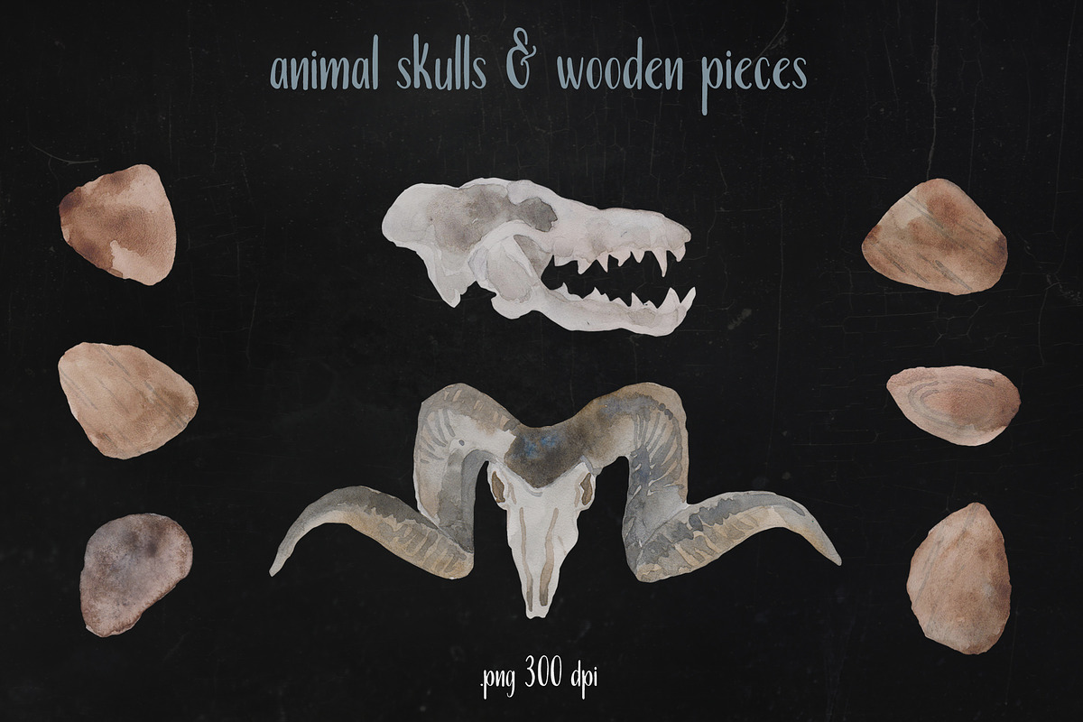 Watercolor Set | WITCHCRAFT, an Animal Illustration by Elisa Ursa (Photo 6 of 10)