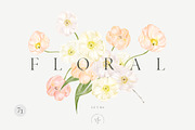 Floral set, an Illustration by Blossom (Thumbnail 1 of 6)