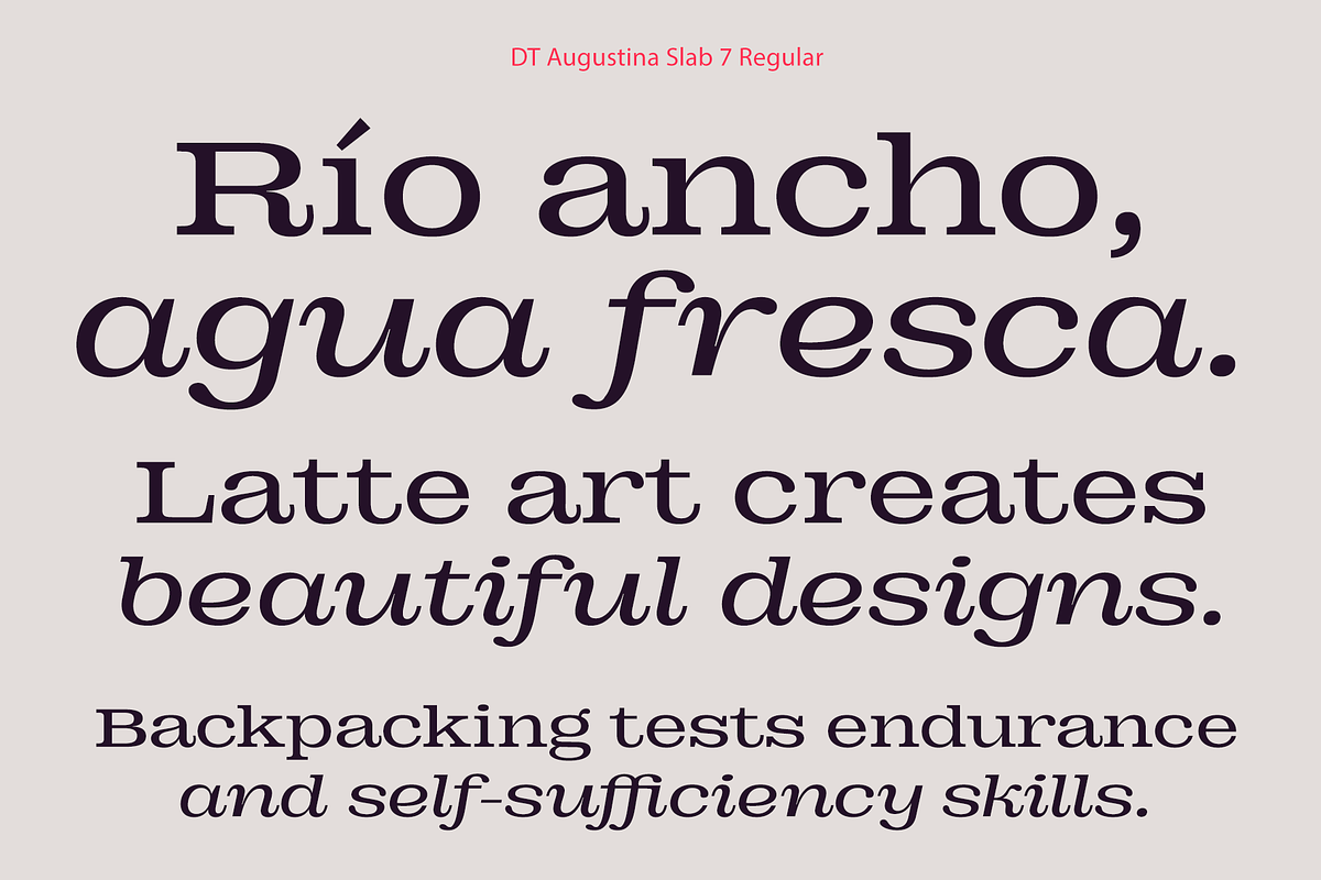 DT Augustina Slab 7 Subfamily, a Slab Serif Font by Deveze Type Foundry (Photo 7 of 31)