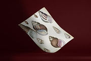 A Journal of Natural History, an Animal Illustration by Dene Studios (Thumbnail 3 of 10)