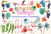 toucans and flamingos watercolor set, an Illustration by Art & Things (Thumbnail 7 of 7)