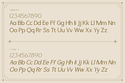 Pontique - Modern Serif Font, a Serif Font by CuratedType Studio (Thumbnail 4 of 10)
