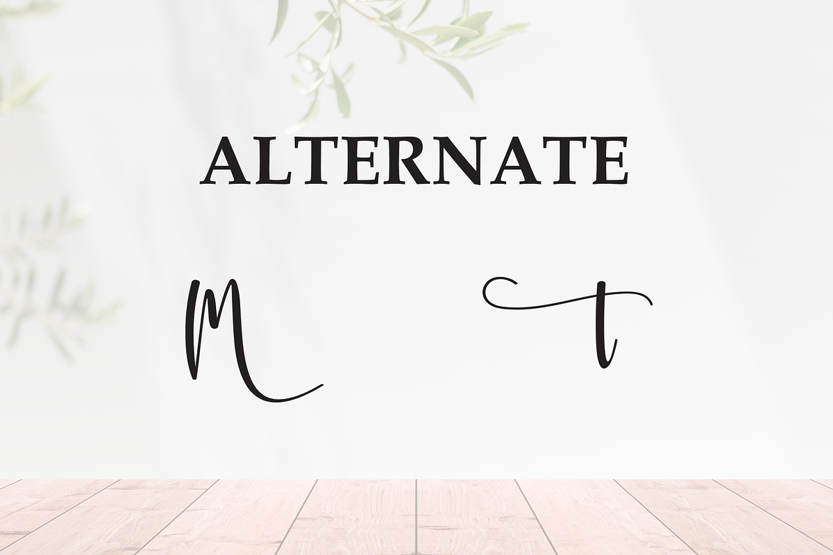 Quality Modern | Script Font, a Handwritten Font by Scratchones (Photo 8 of 9)