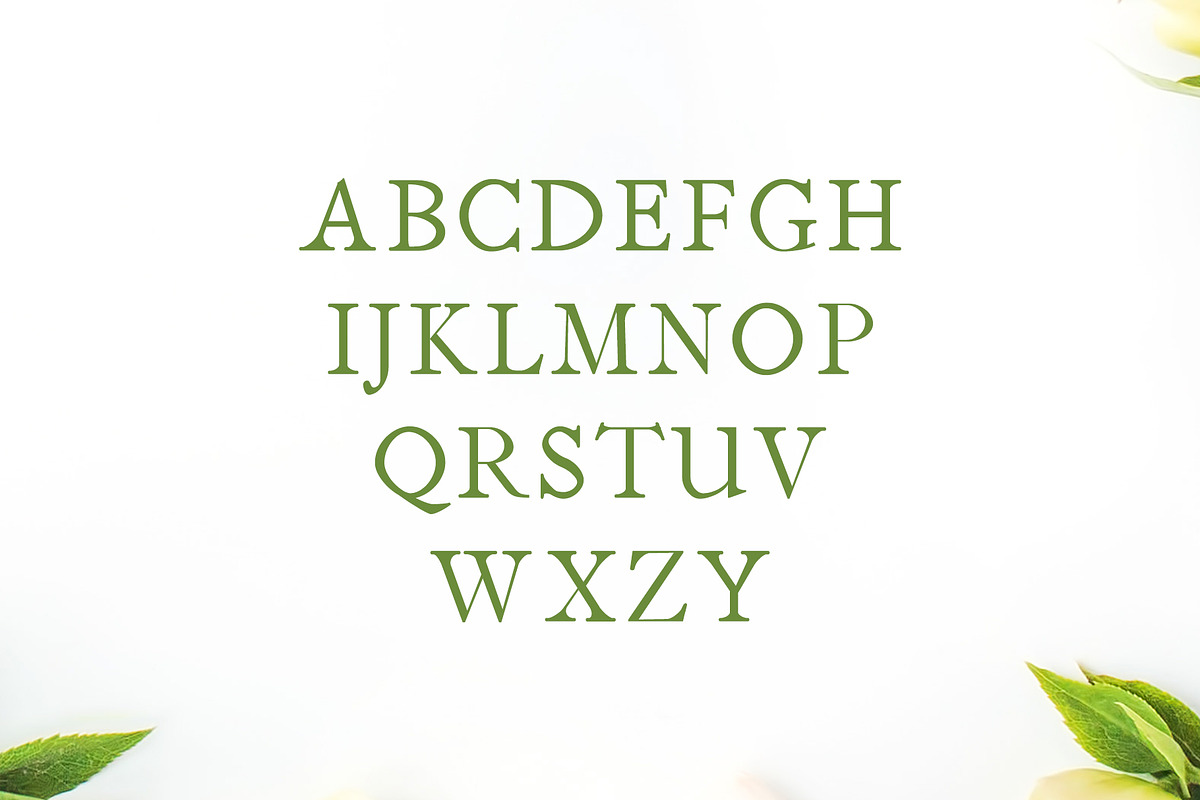 Jerricca Serif Typeface preview 2