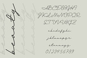 Andalusia a Beautiful Script Font, a Script Font by Lettertype Studio (Thumbnail 6 of 19)