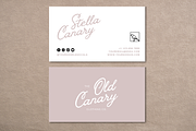 Fun Business Card Template, a Marketing Template by BirdieLaine (Thumbnail 3 of 3)