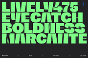 Marcante - Intro Family 60% off, a Sans Serif Font by Latinotype (Thumbnail 4 of 17)