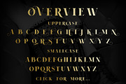 Voguer, a Serif Font by NREY (Thumbnail 4 of 7)
