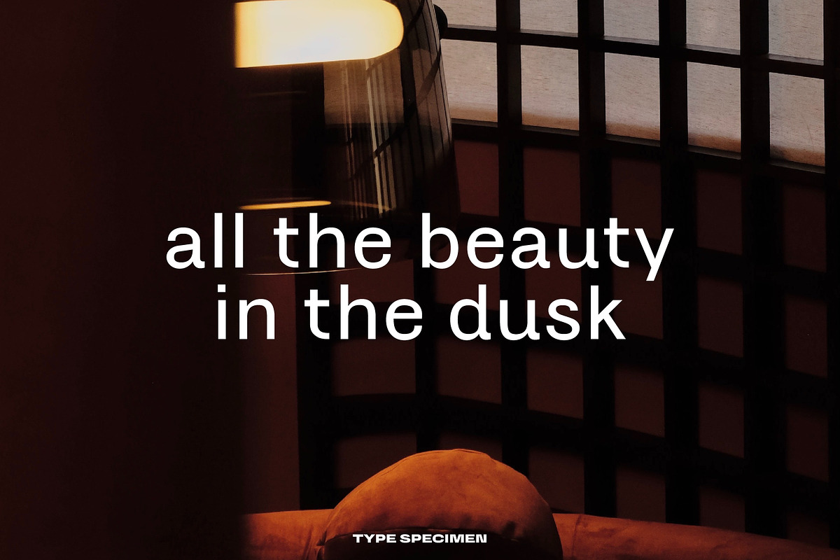 HONEYCHROME - VARIABLE TYPE SYSTEM, a Sans Serif Font by Tropical Type (Photo 10 of 14)