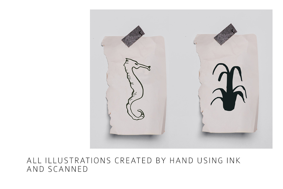 INKED SEALIFE hand drawn vector set, an Animal Illustration by Lena Nikolaeva (Photo 7 of 11)