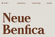 GC Neue Benfica – Classic Serif, a Sans Serif Font by Glyphonic (Thumbnail 1 of 15)