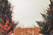 Prehistoric Botanical Frames, a Background Graphic by pictures for you (Thumbnail 4 of 13)