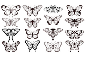 Butterfly Silhouettes. Black Outline