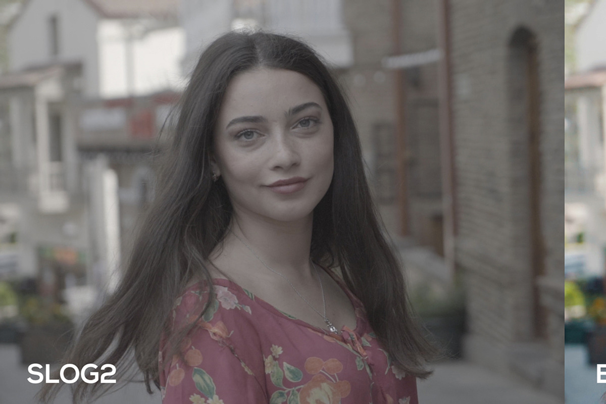 Cinematic Luts (Slog2 & Slog3), a Layer Style Add-On by GeorgeKhelashvili (Photo 3 of 10)