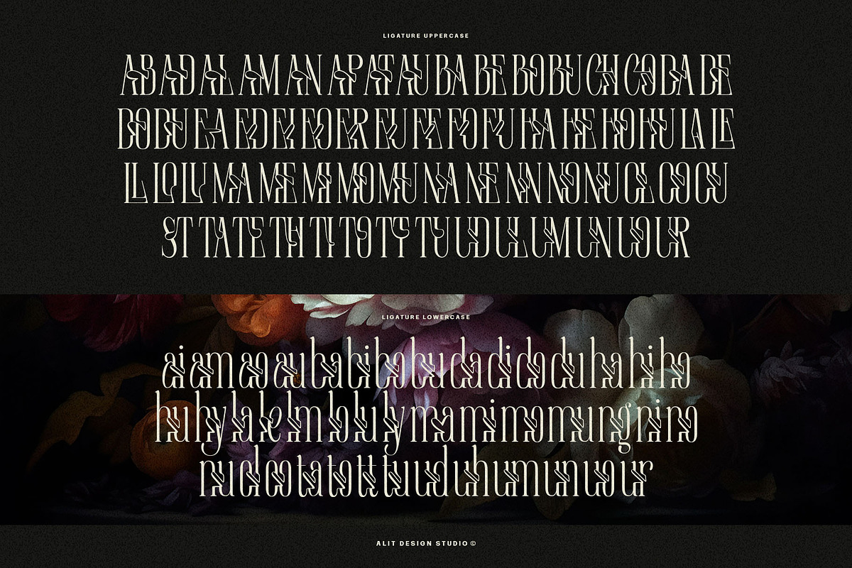 Euromunche Typeface, a Serif Font by alit design (Photo 13 of 15)