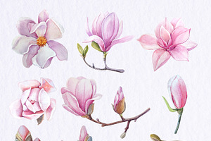 Watercolor Magnolia