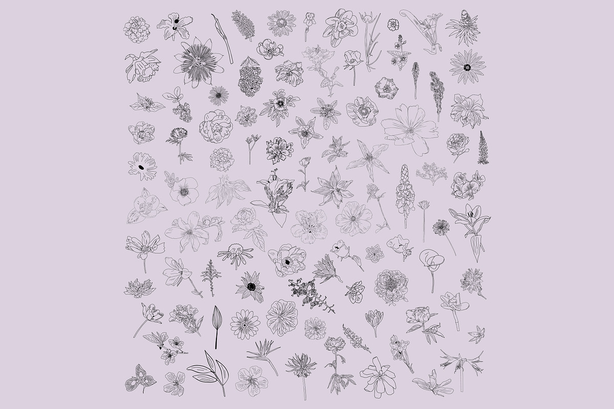 Preserving the bloom 100 flowers, a Decorative Illustration by Visual Animal (Photo 7 of 10)
