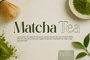 MARQUETRY - Modern Serif Duo, a Serif Font by PaperMoon (Thumbnail 6 of 14)
