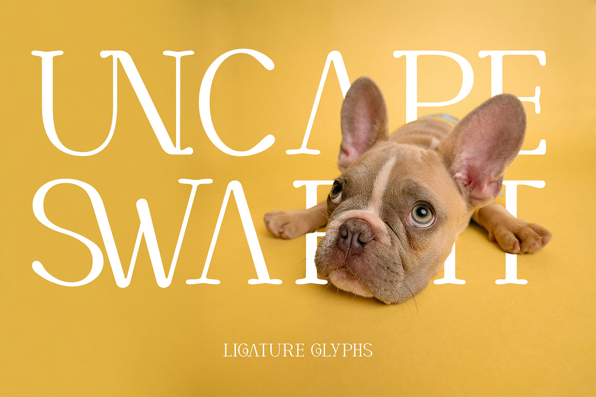 CORTEXO – Modern Serif Typeface, a Serif Font by Foxtype (Photo 4 of 7)