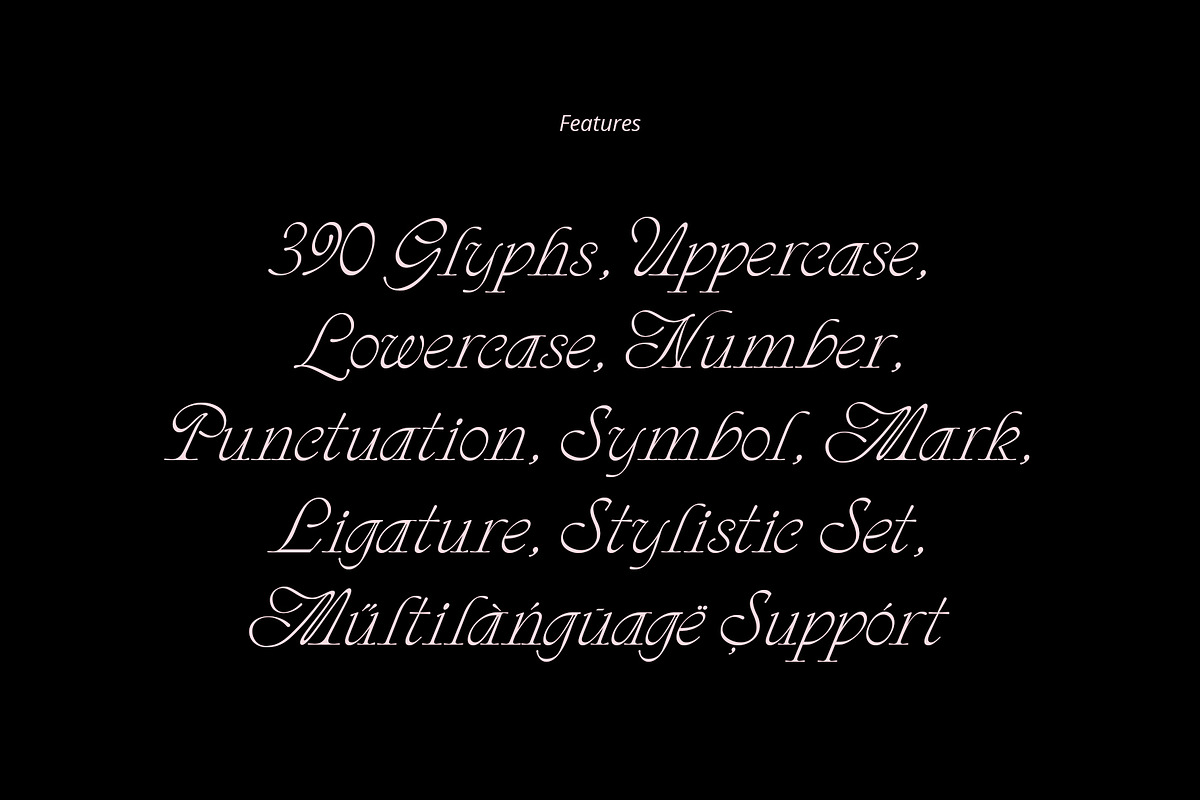 ED Phoebe, a Serif Font by Emyself Design (Photo 9 of 12)