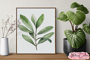 Vegetables Collection Clipart, a Food Illustration by Watercolor Digital (Thumbnail 8 of 9)