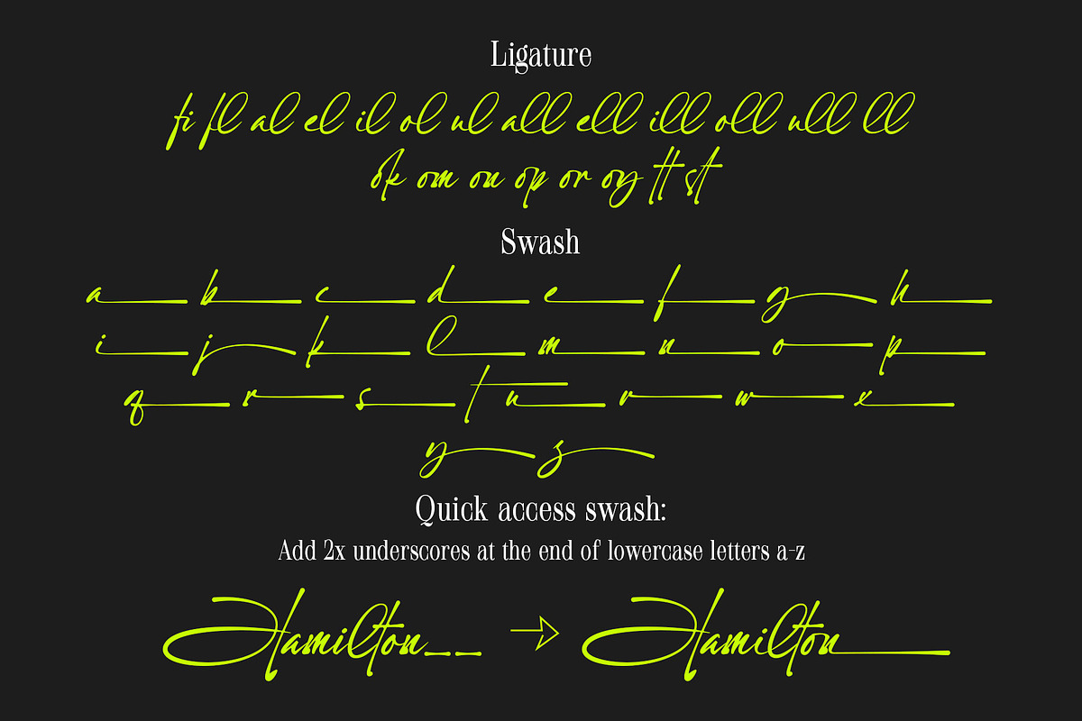 Nedalin | Signature Font, a Script Font by Lemonthe (Photo 8 of 9)