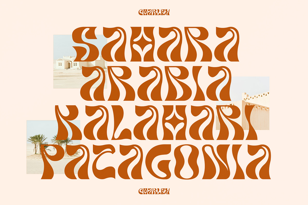 Charley Unique Display Font, a Serif Font by Storytype Studio (Photo 2 of 14)