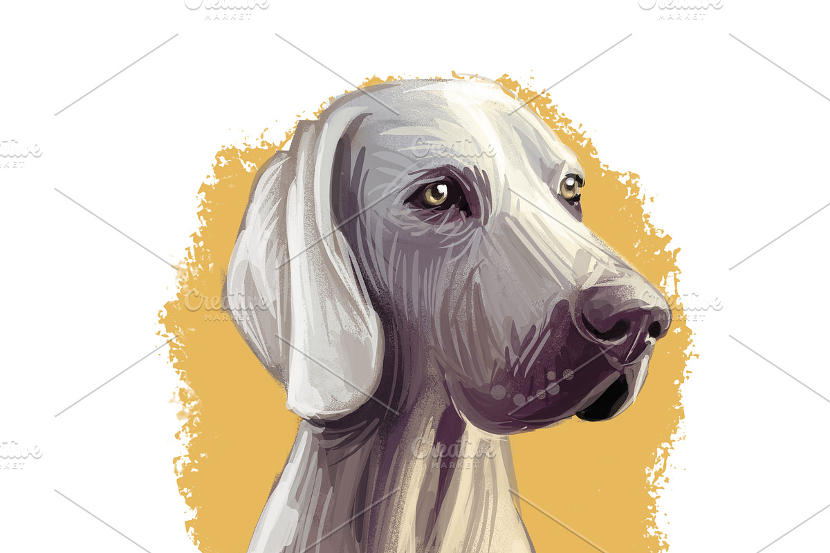 Most Popular Dog Breeds Pet Portrait, an Animal Illustration by Dneprstock (Photo 22 of 23)