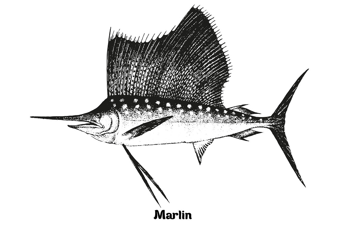 Fish collection, part 3, a Food Illustration by ZotovShop (Photo 4 of 11)
