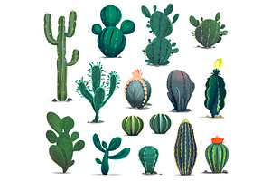 Cartoon Desert Cactuses, Succulents