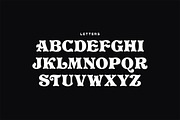 Quasar Typeface, a Serif Font by Tugcu Design Co. (Thumbnail 2 of 3)