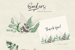 Ferns & Foliage Illustrations