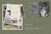 Botanical Still Life Photography, a Background Graphic by bron.alexander (Thumbnail 2 of 10)