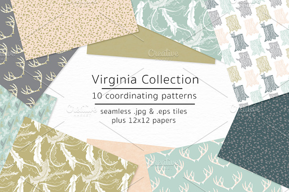 Virginia Collection-vector & jpgs preview 3