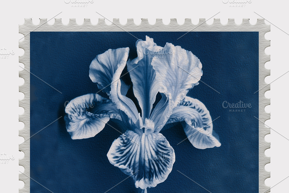 Lupa Co · Cyanotype Botanical Stamps, a Texture Illustration by milatovar (Photo 13 of 18)