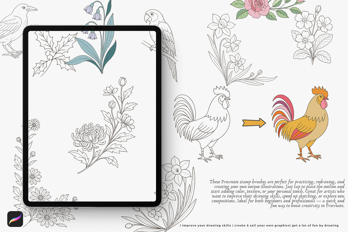 birth month flowers birds procreate