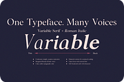 Noctera Modern Editorial Serif Font, a Serif Font by LuhopCreative (Thumbnail 5 of 15)