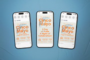 Cinco de Mayo Flyer Set, a Flyer Template by The Good Store (Thumbnail 2 of 2)