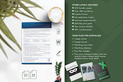 Editable Resume Templates, CV Word, a Resume Template by Career Canvas (Thumbnail 5 of 11)