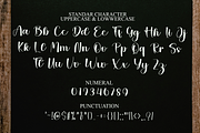Goodbye September, a Handwritten Font by FreshTypeINK (Thumbnail 8 of 8)